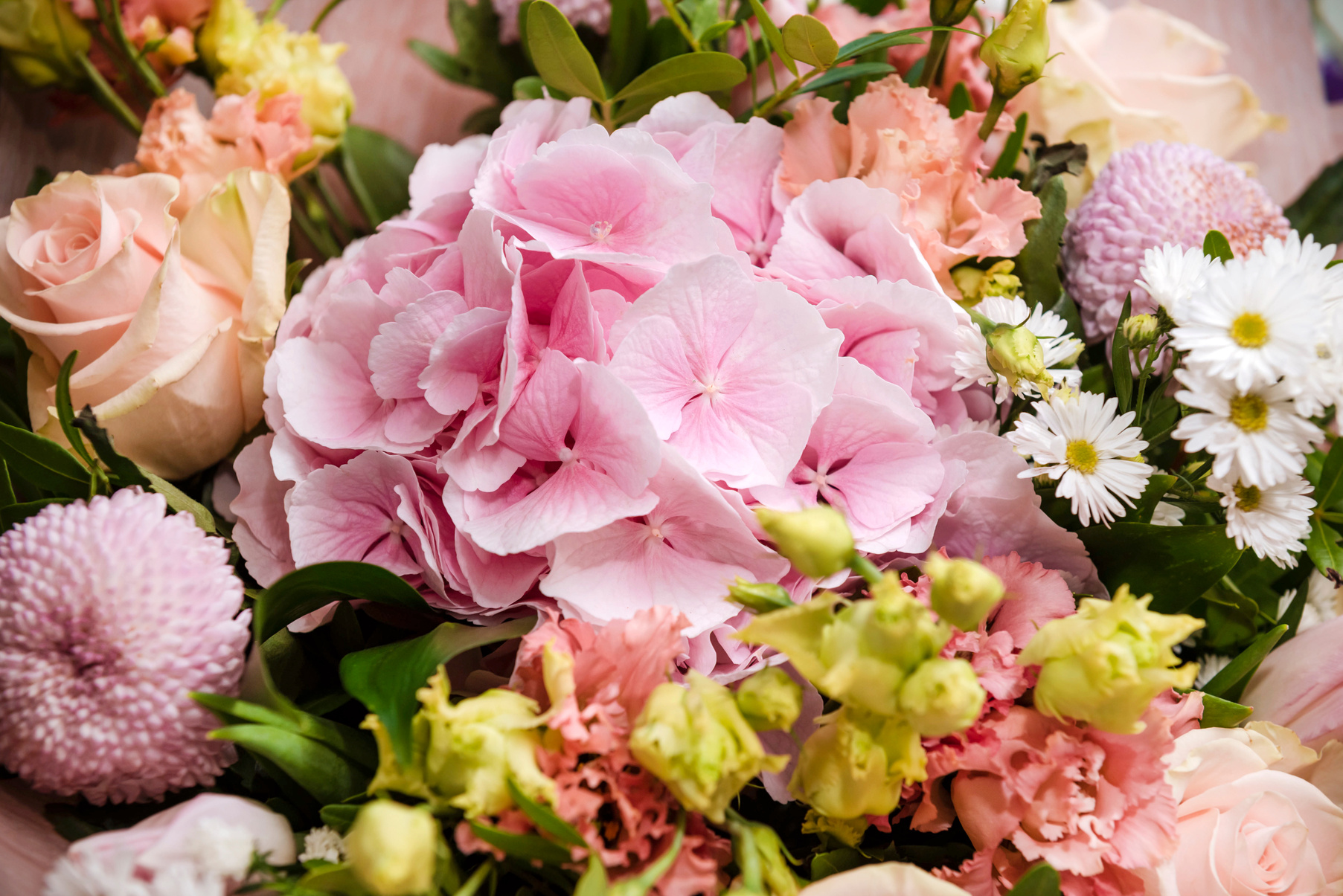 beautiful bouquet of flowers in shades of pink, petals, hydrangeas